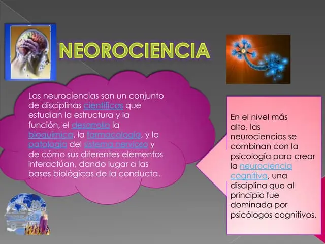 neurociencia definicion psicologia - Que enseña la neurociencia