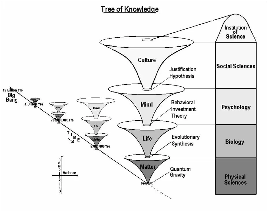 la psicologia es una ciencia social o natural - Qué es ciencia natural y ciencia social