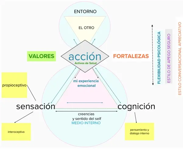 Conceptualización en Psicología - Qué es conceptualización en psicología conceptualizacion en psicologia - Qué es conceptualización en psicología