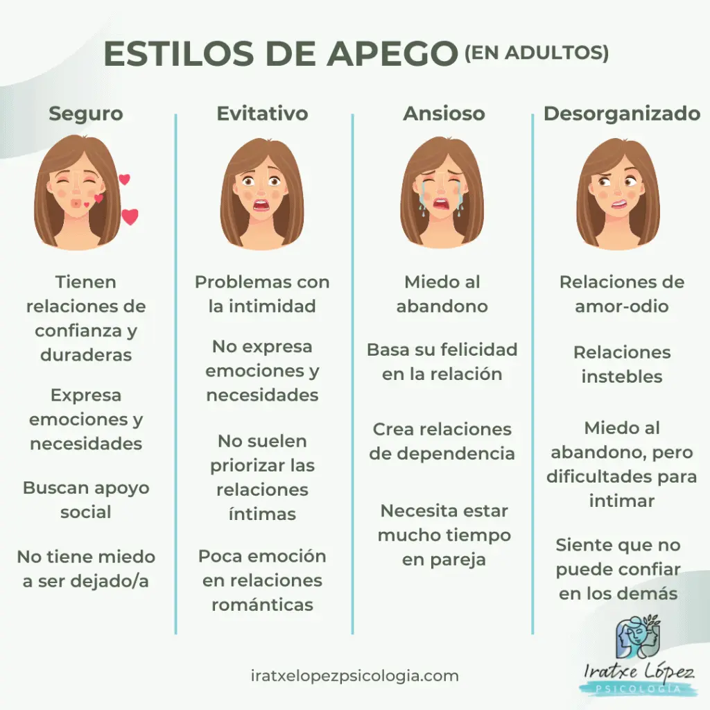 apego psicologia del desarrollo - Qué es el apego Según Erikson