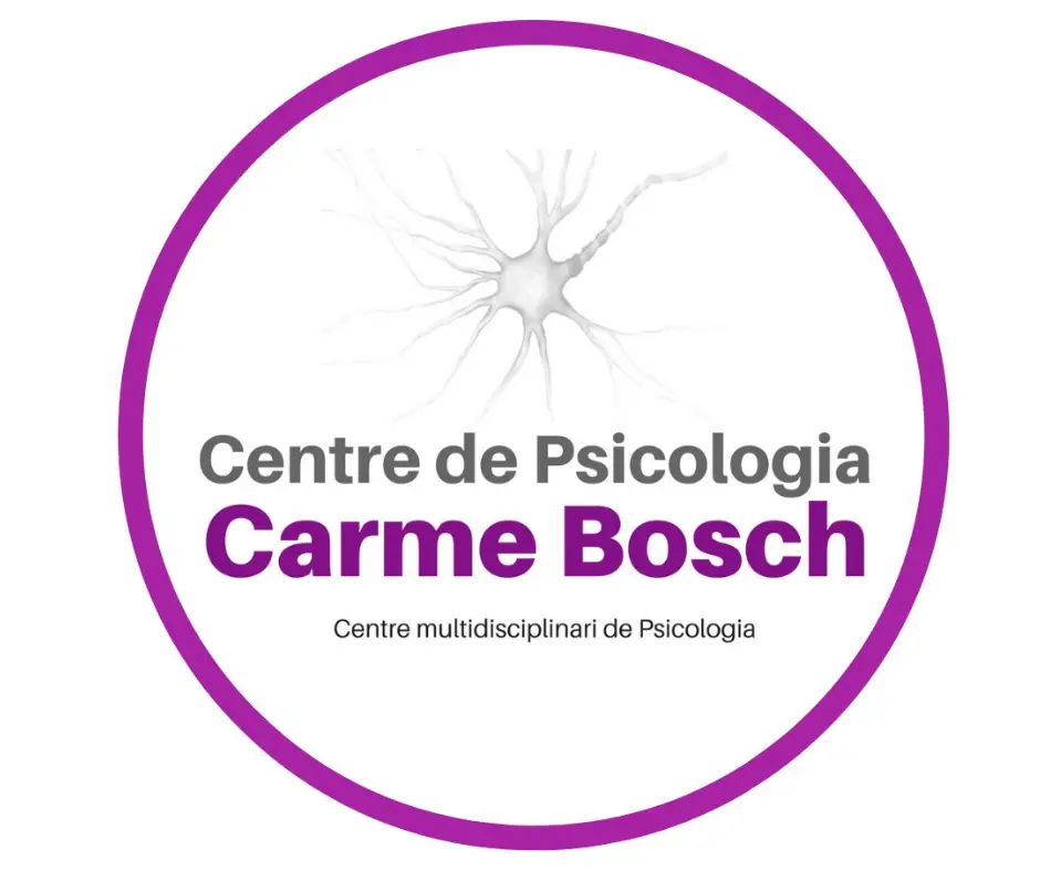 centre psicologia - Qué es el Centro API