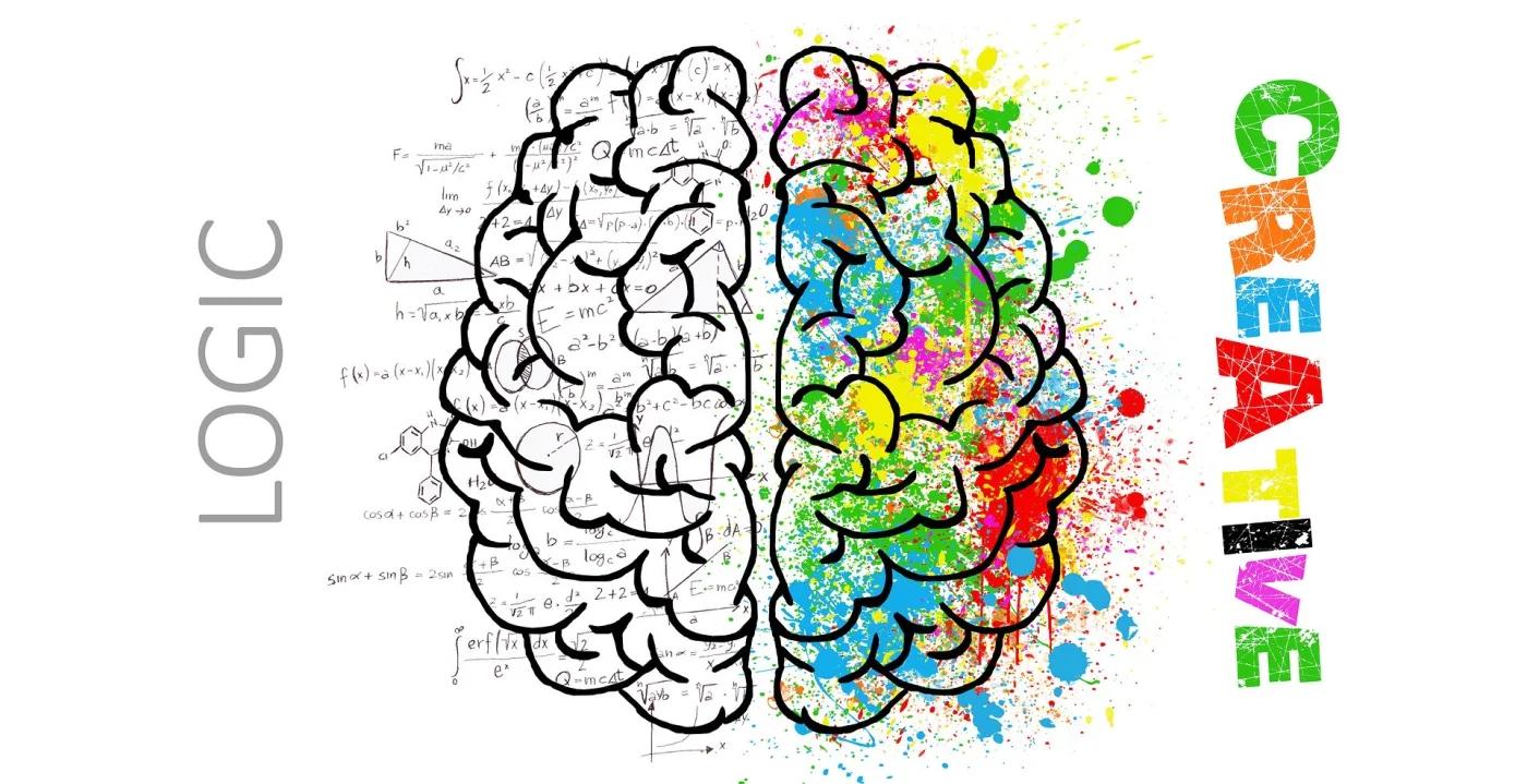cerebro psicologia - Qué es el cerebro y cuáles son sus funciones