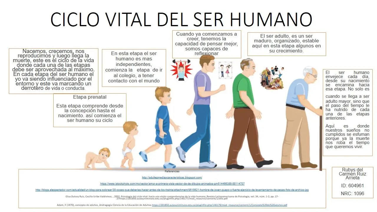 ciclo vital psicologia - Qué es el ciclo vital según Erikson