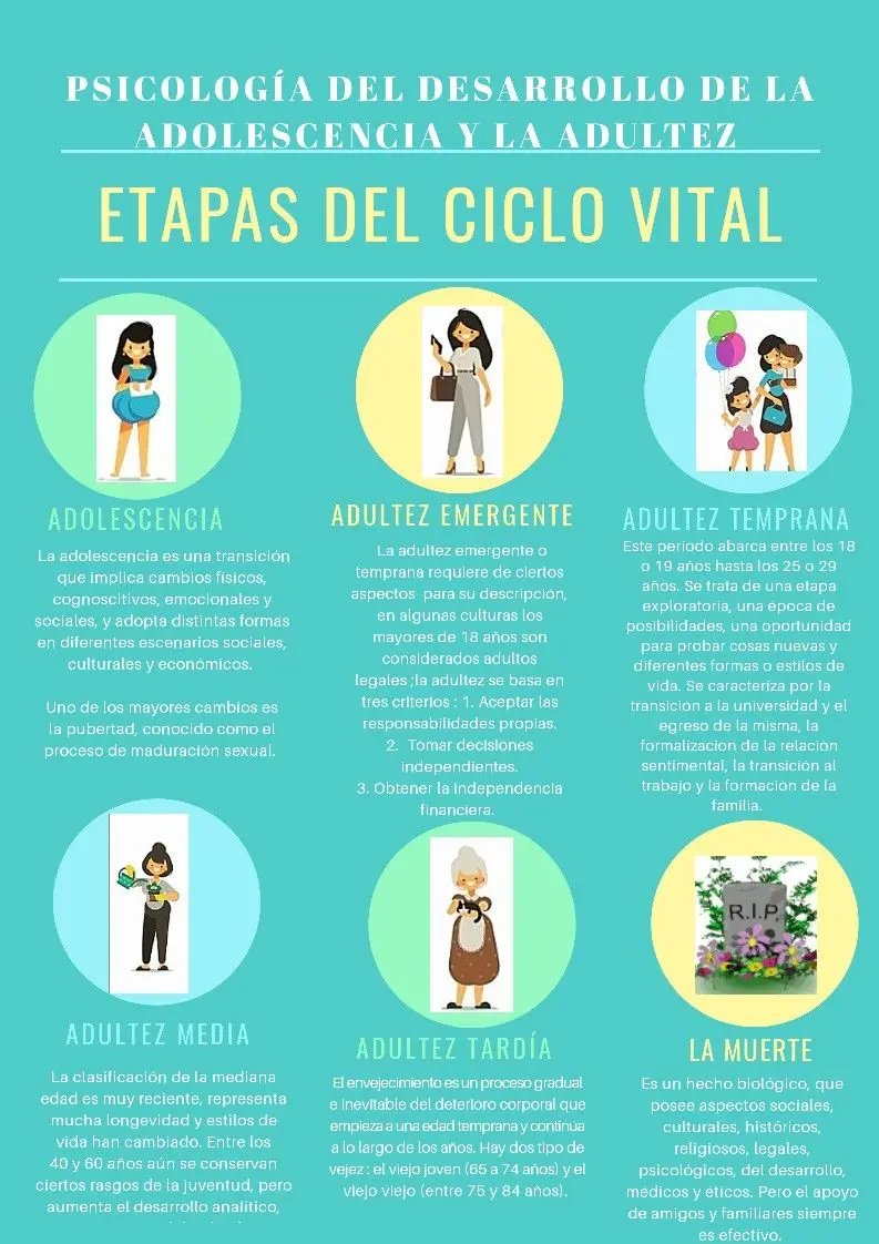 ciclo vital psicologia - Qué es el ciclo vital y cuáles son sus etapas