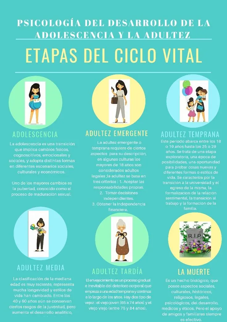 vital psicologia - Qué es el enfoque del curso vital