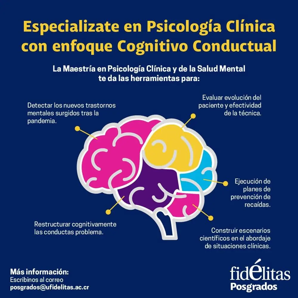 enfoque psicologia cognitiva - Qué es el enfoque del desarrollo cognitivo