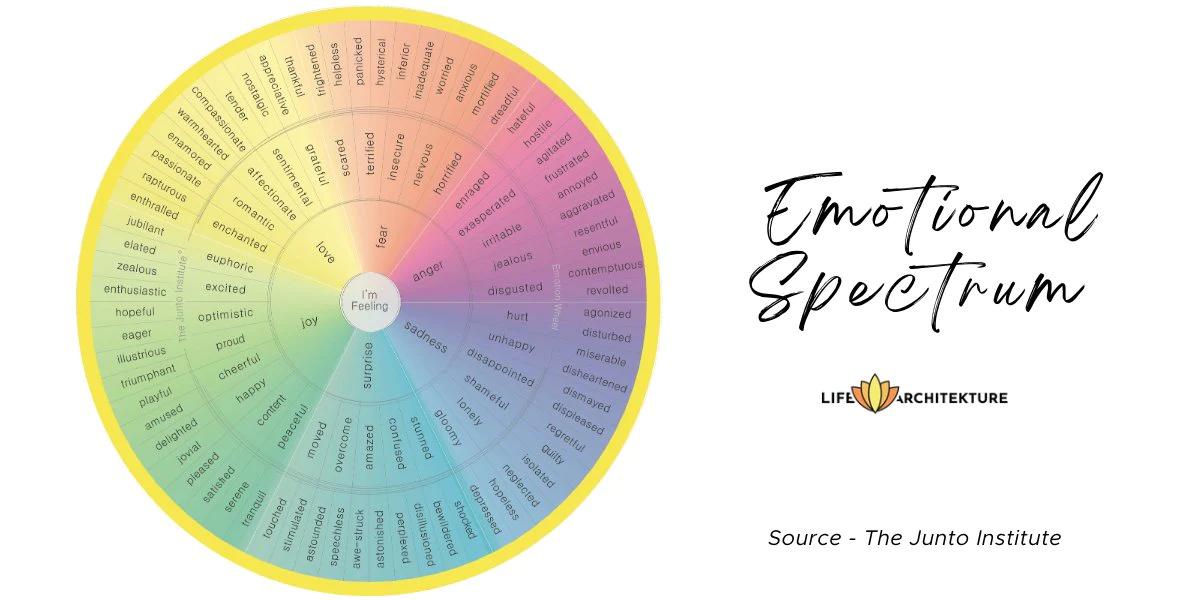 espectro emocional psicologia - Qué es el espectro de emoción