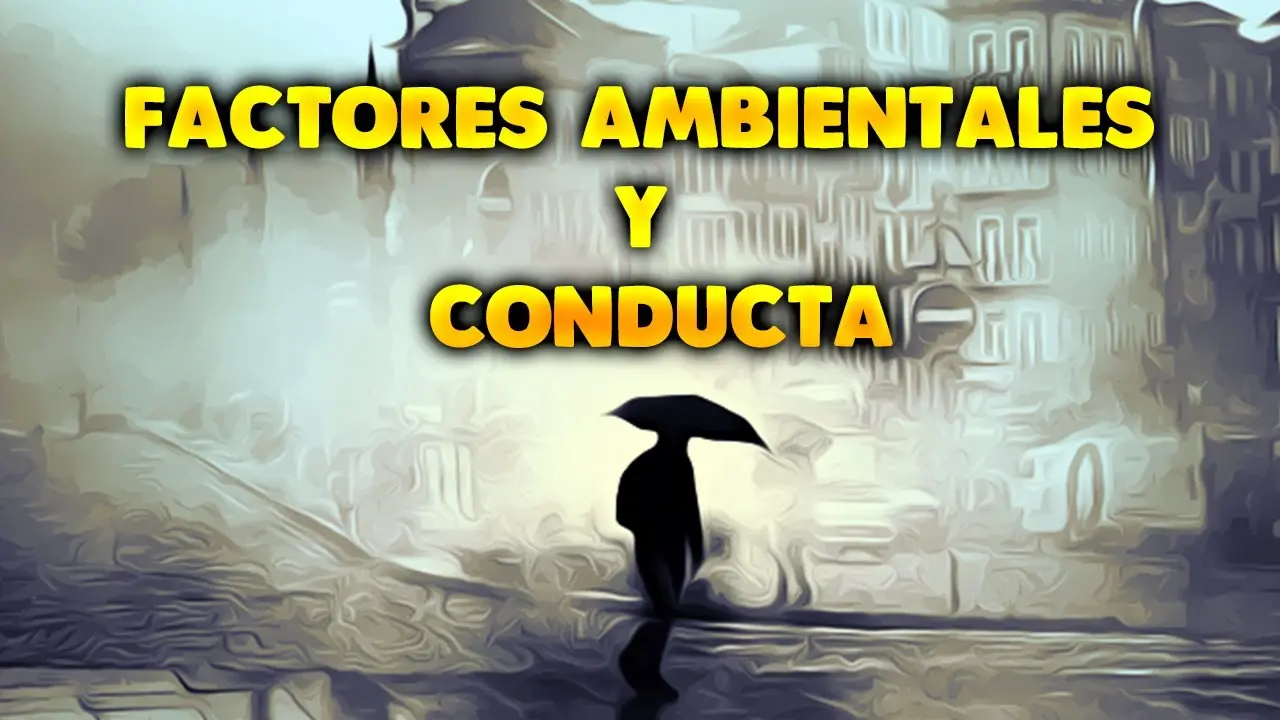 Factores ambientales en psicología: una influencia determinante en el desarrollo humano - Qué es el medio ambiente en psicología que son los factores ambientales en psicologia - Qué es el medio ambiente en psicología