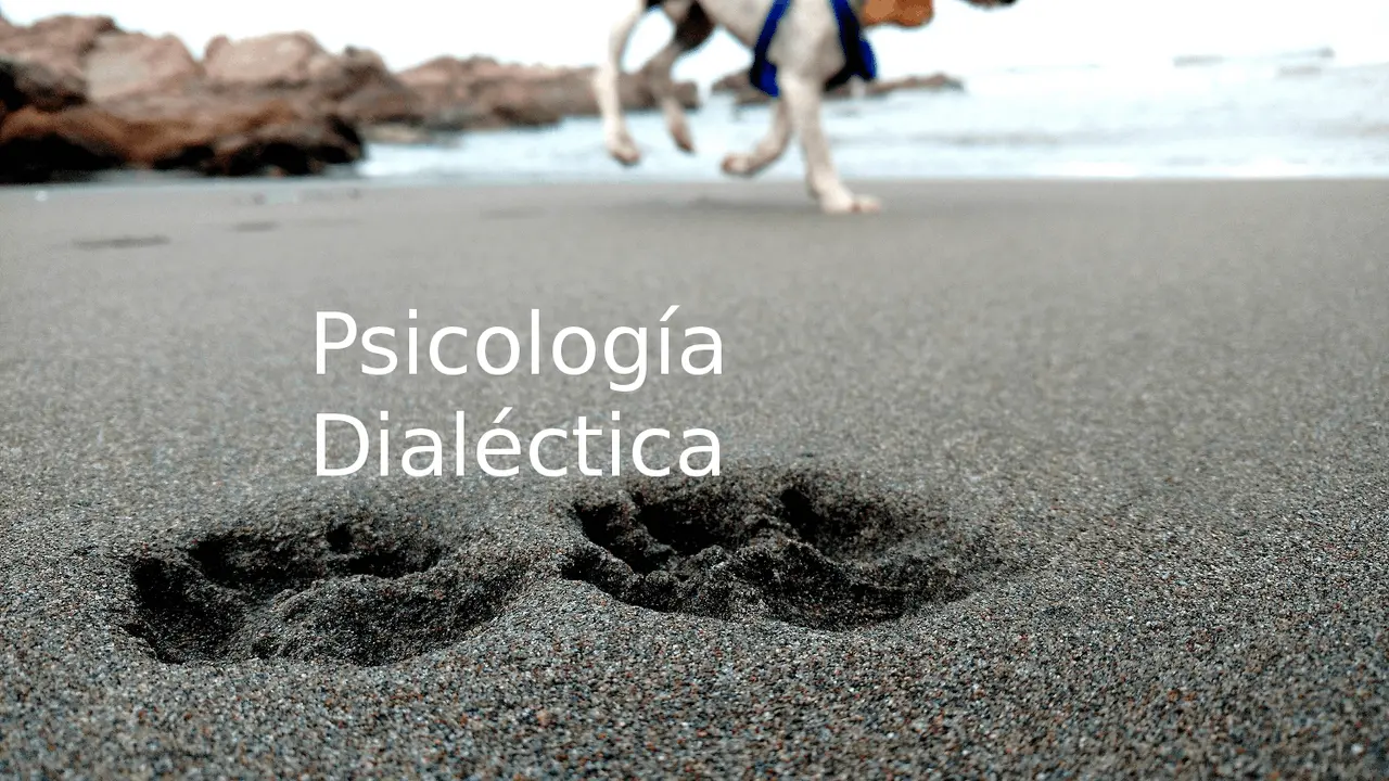 psicologia dialectica - Qué es el método dialéctico en Psicología Social