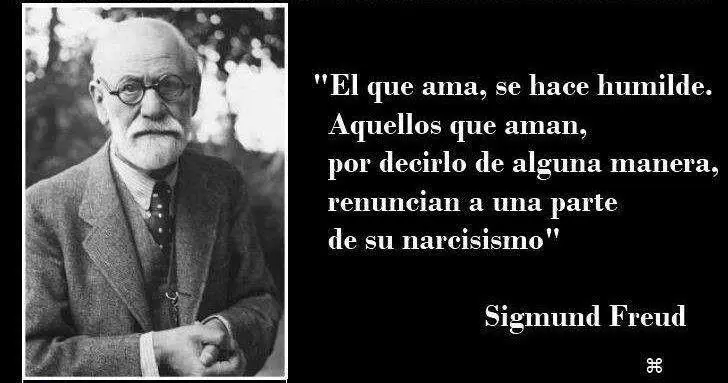 Psicología del amor según Freud - Qué es el objeto de amor para Freud psicologia del amor freud - Qué es el objeto de amor para Freud