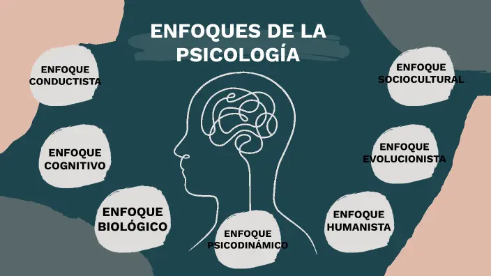 enfoques de la psicologia - Qué es enfoque según la psicología