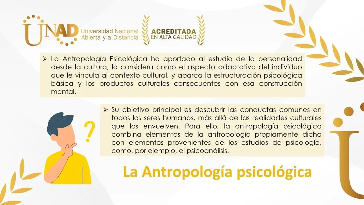 caracteristicas de la antropologia psicologica - Qué es la antropología psicoanalítica