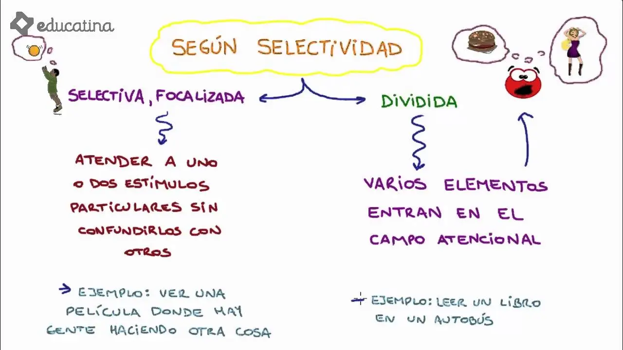 atencion tipos psicologia - Qué es la atención pasiva o involuntaria