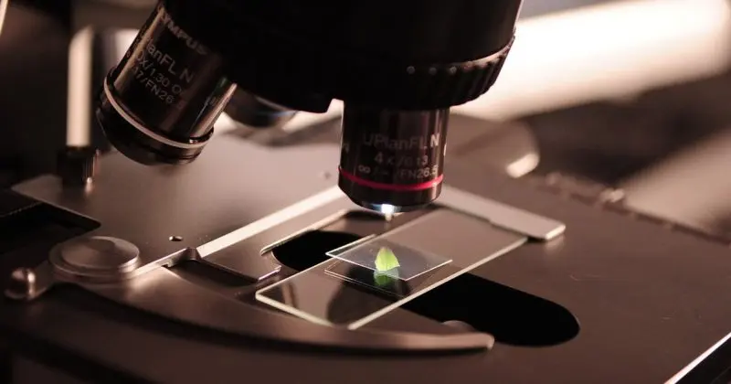 La Psicología como Ciencia Fáctica - Qué es la ciencia fáctica psicologia como ciencia factica - Qué es la ciencia fáctica