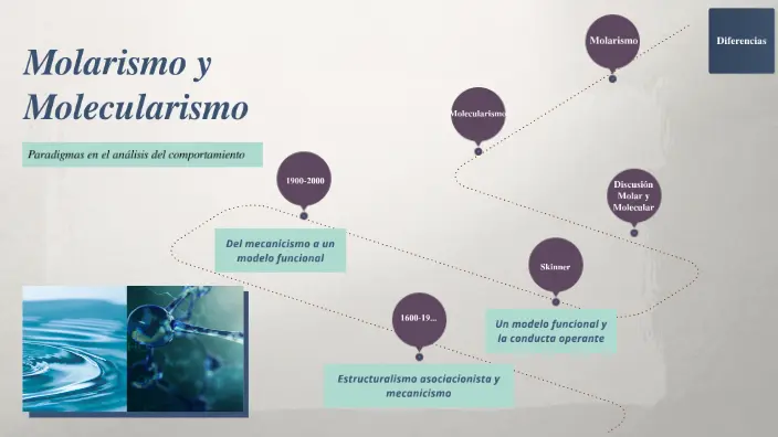 vision molar en psicologia - Qué es la conducta molar en psicologia