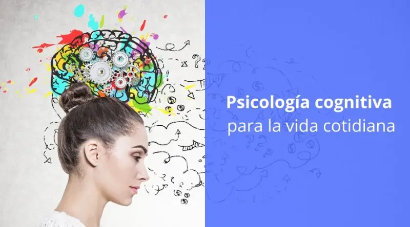 cotidianidad psicologia - Qué es la crítica de la vida cotidiana según Pichón Riviere