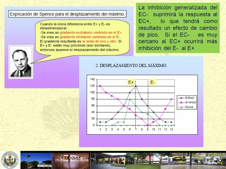 desplazamiento del maximo psicologia - Qué es la generalización en psicología