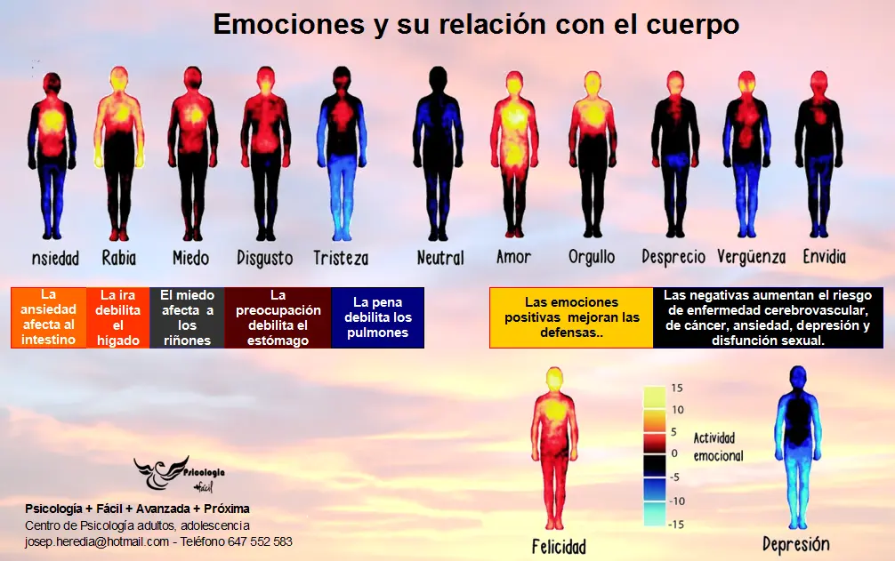 El cuerpo desde la psicología: una mirada hacia la identidad personal - Qué es la identidad personal en psicología el cuerpo desde la psicologia - Qué es la identidad personal en psicología