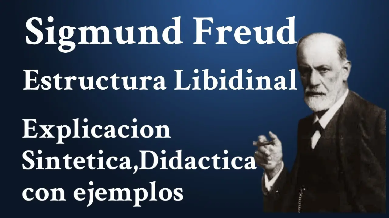 estructura libidinal psicologia de las masas - Qué es la investidura libidinal