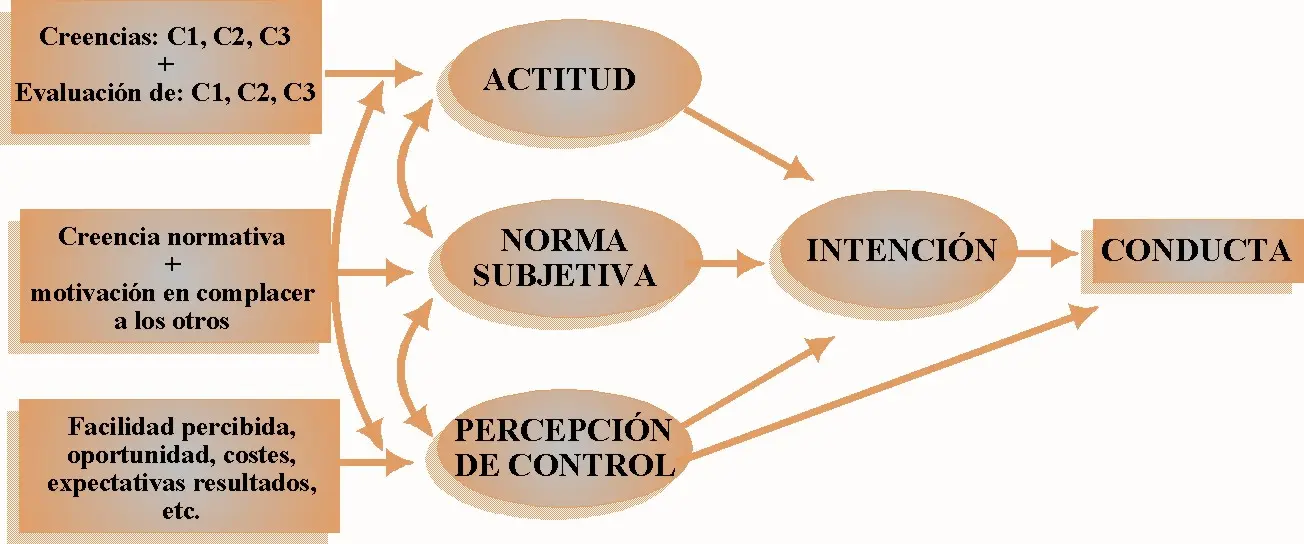 teoria de accion y reaccion psicologia - Qué es la ley de acción y reacción ejemplos