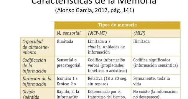 caracteristicas de la memoria psicologia - Qué es la memoria para psicologia