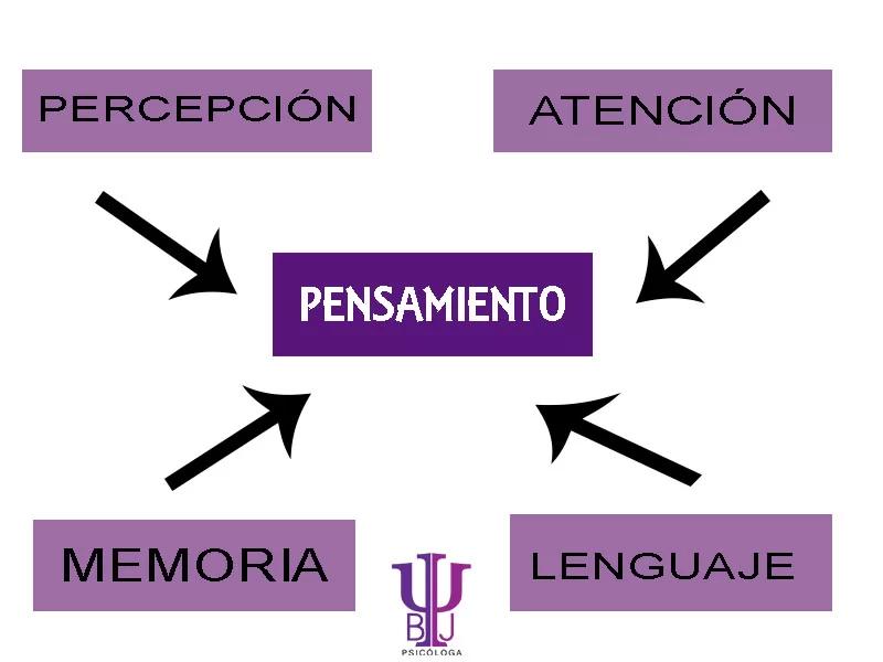 concepto de mente psicologia - Qué es la mente y dónde se encuentra