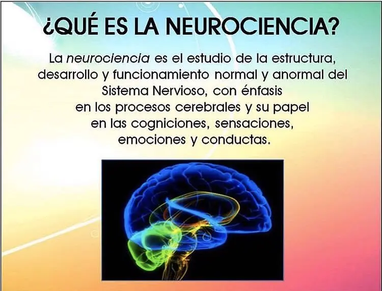 neurociencia definicion psicologia - Qué es la neurociencia según Piaget
