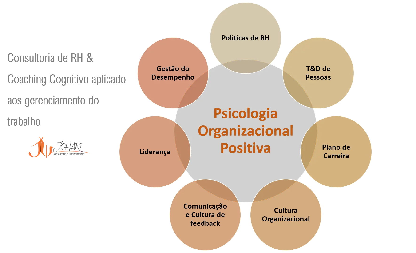 psicologia organizacional positiva - Qué es la organización positiva