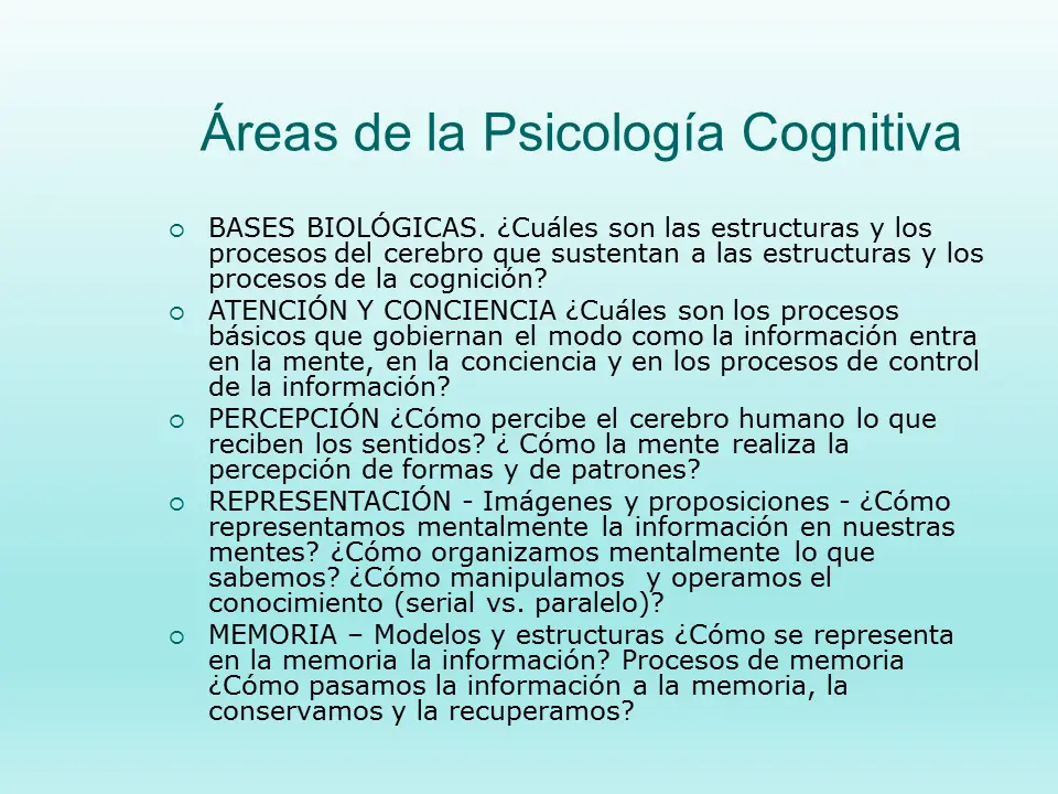 percepcion psicologia cognitiva - Qué es la percepción en los procesos cognitivos