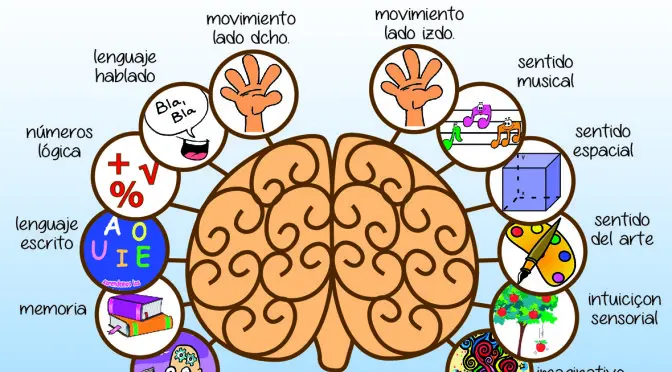 memoria en psicologia cognitiva - Qué es la perspectiva cognitiva de la memoria