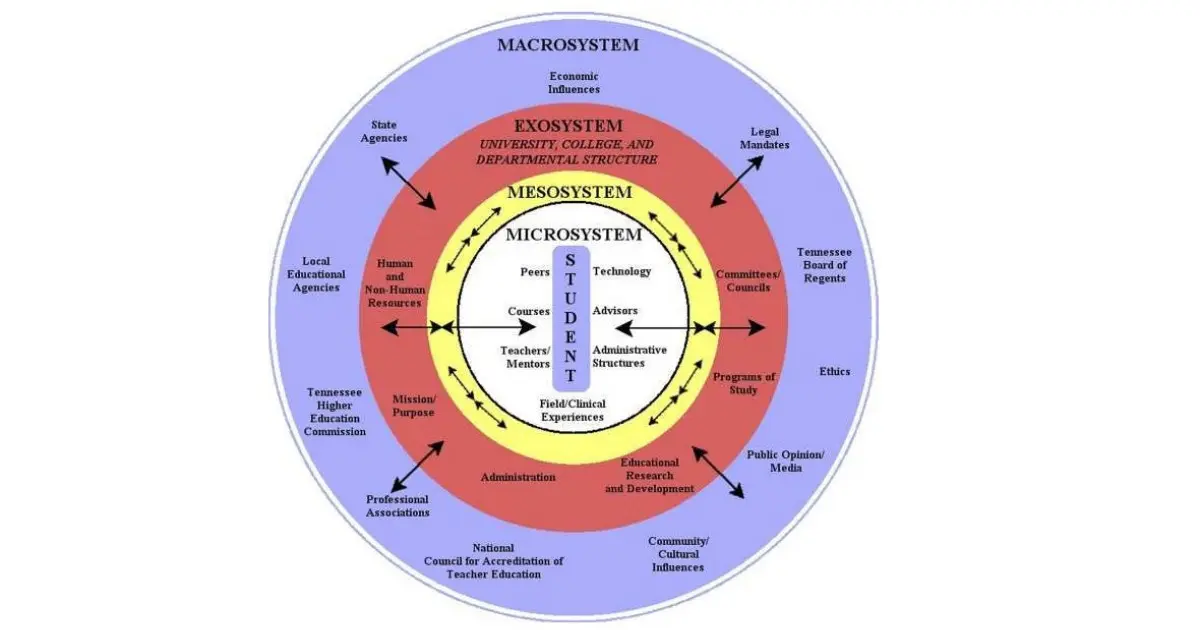 perspectiva ecologica psicologia - Qué es la perspectiva ecológica