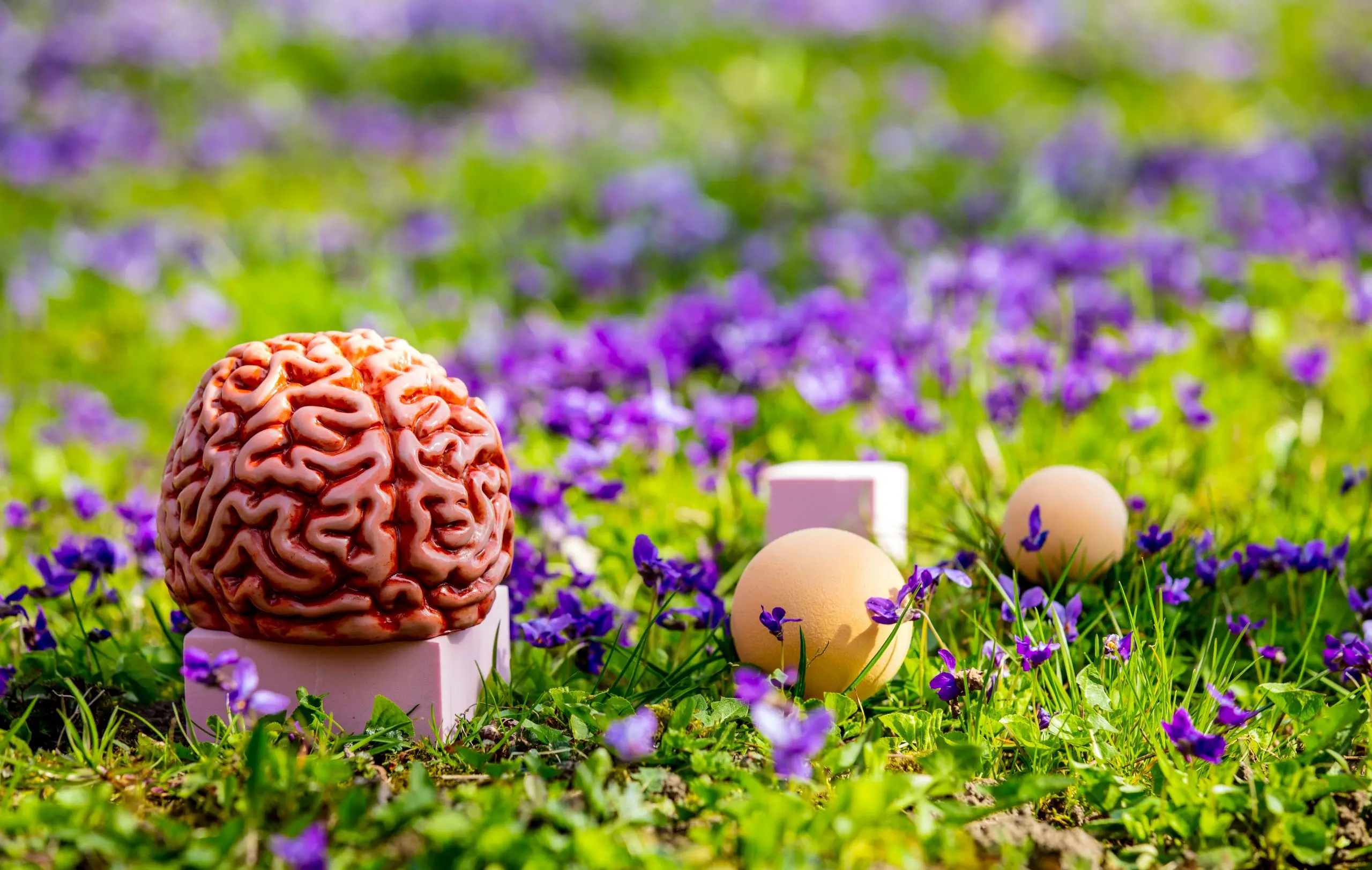 Psicología Ecológica - Qué es la perspectiva ecológica en psicología psicologia ecologica - Qué es la perspectiva ecológica en psicología
