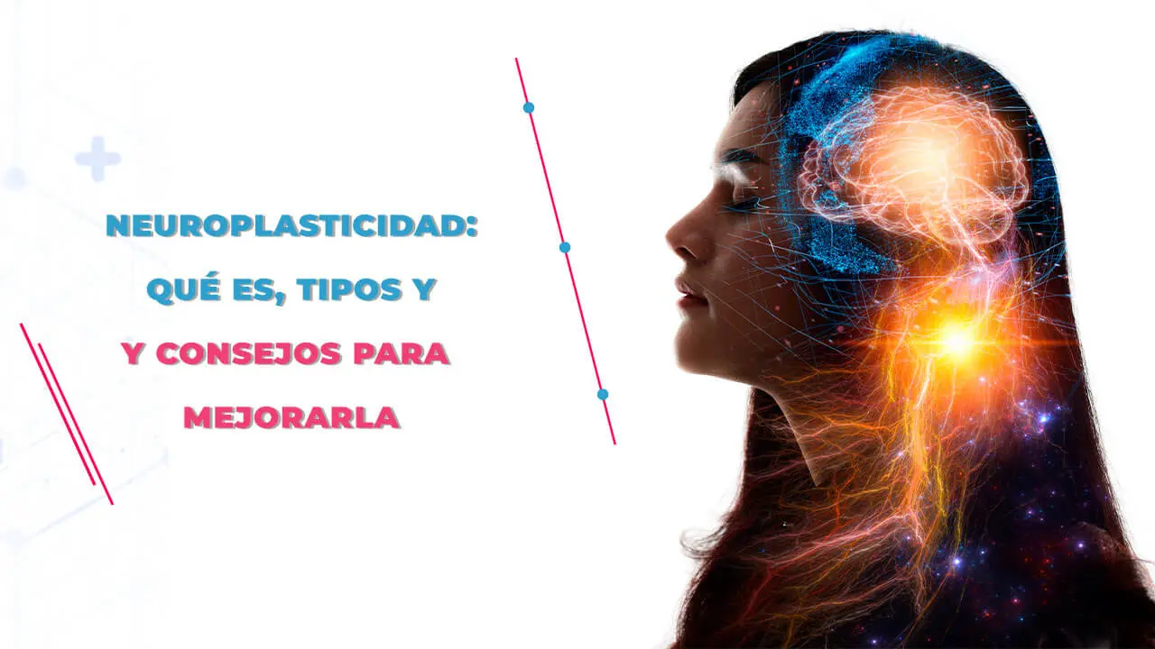 que es plasticidad en psicologia - Qué es la plasticidad cerebral ejemplo