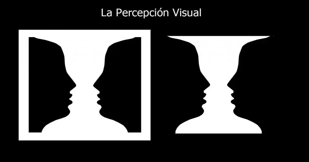 La Psicología De La Percepción Visual Cómo Influye En Nuestra Forma De Ver Colegio De 5144