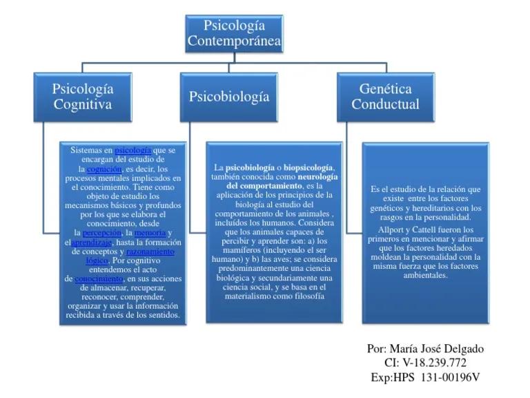 Mapa mental: objeto de estudio de la psicología - Qué es psicología mapa mental mapa mental objeto de estudio de la psicologia - Qué es psicología mapa mental