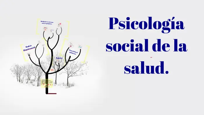 psicologia social de la salud - Qué es salud según Pichon Riviere