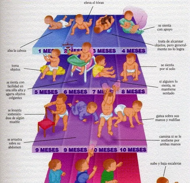 estadío definicion psicologia - Qué es un estadio en medicina
