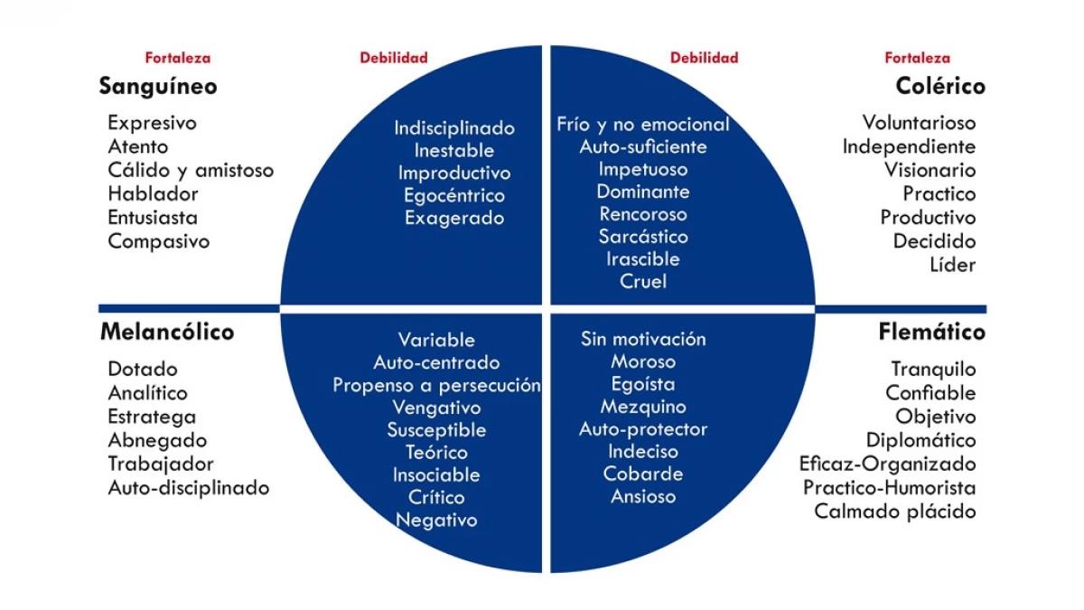 perfiles de personalidad psicologia - Qué es un perfil de personalidad en psicología