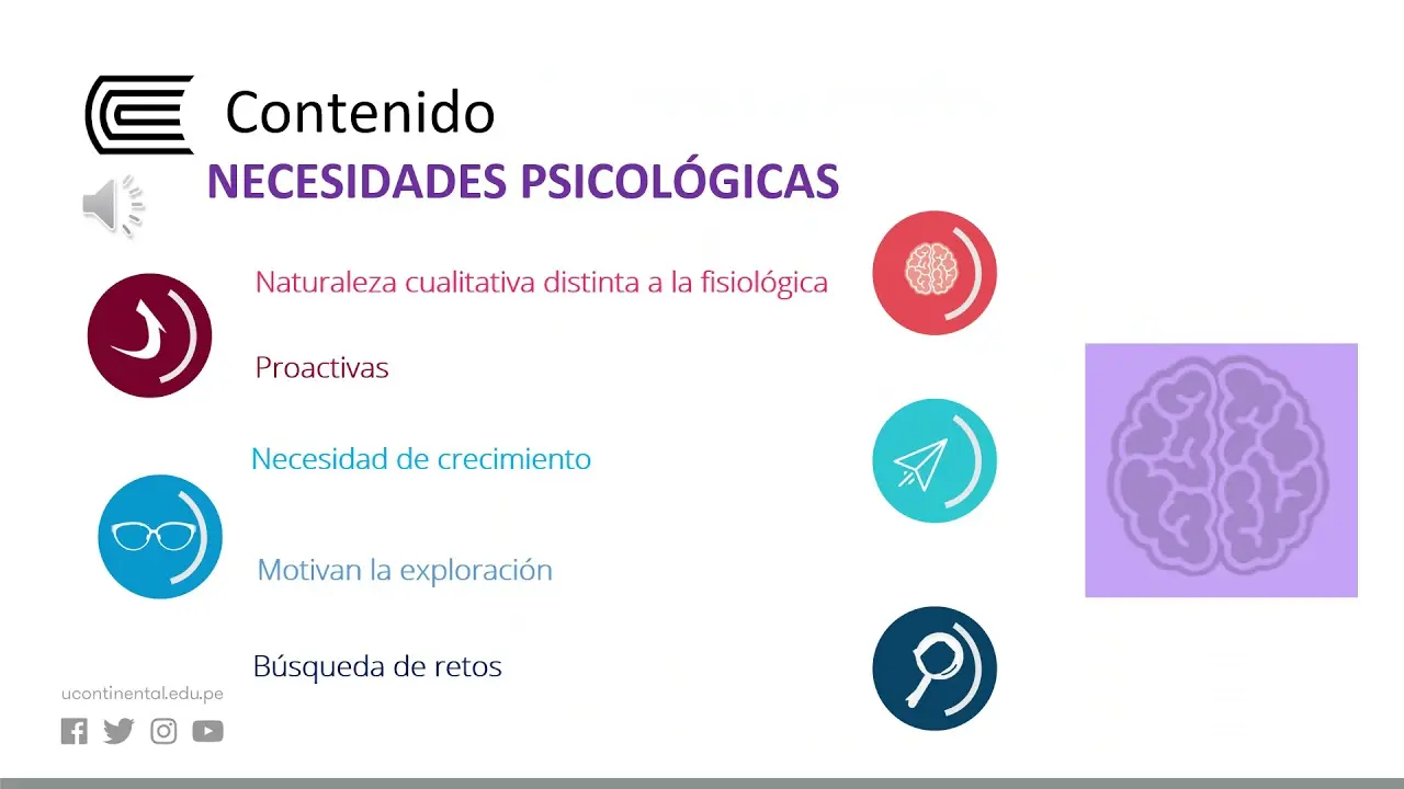 que es una necesidad psicologica - Qué es una necesidad y un ejemplo