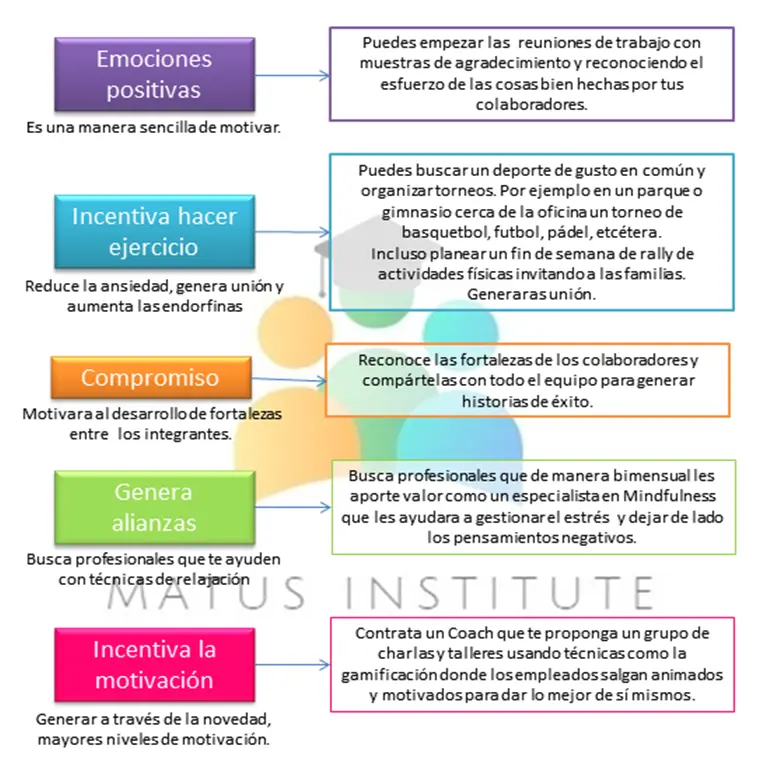 psicologia positiva en las organizaciones - Qué es una organización positiva