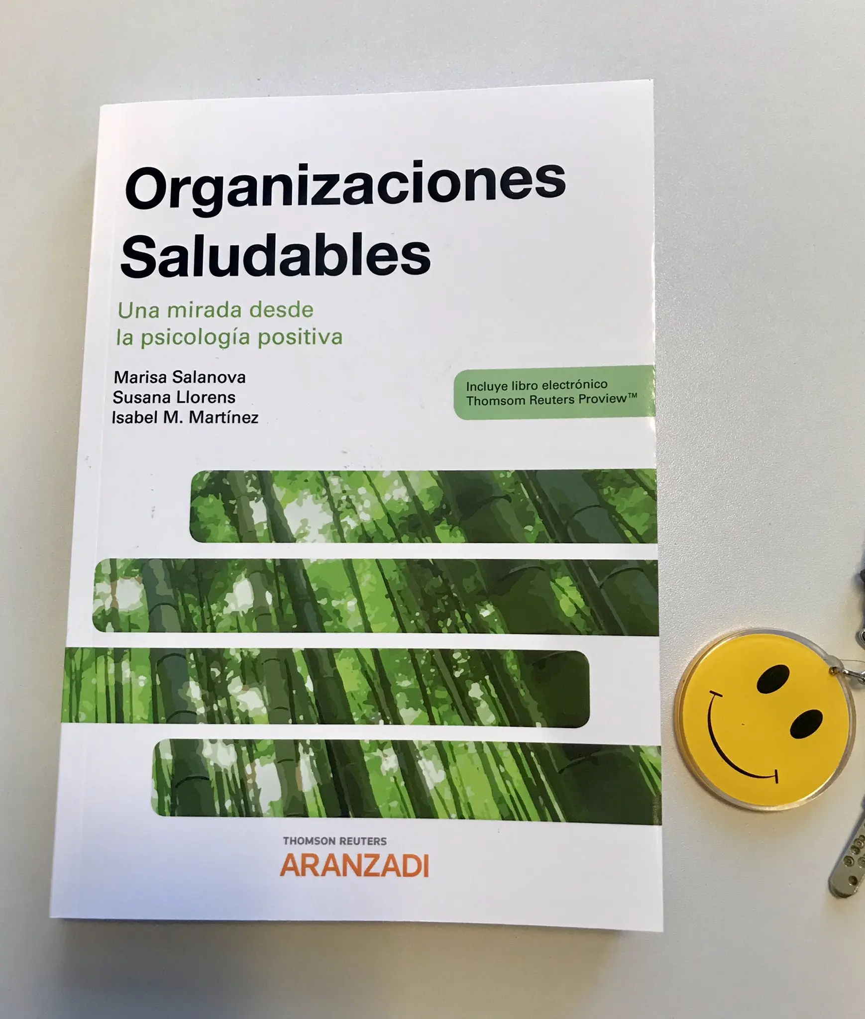 organizaciones saludables una mirada desde la psicología positiva - Qué es una organización saludable