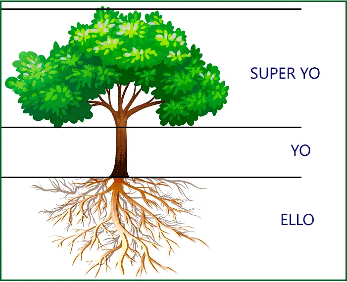 Test de Psicología del Árbol - Tu Personalidad - Qué evalúa el test de casa árbol persona test psicologia arbol - Qué evalúa el test de casa árbol persona