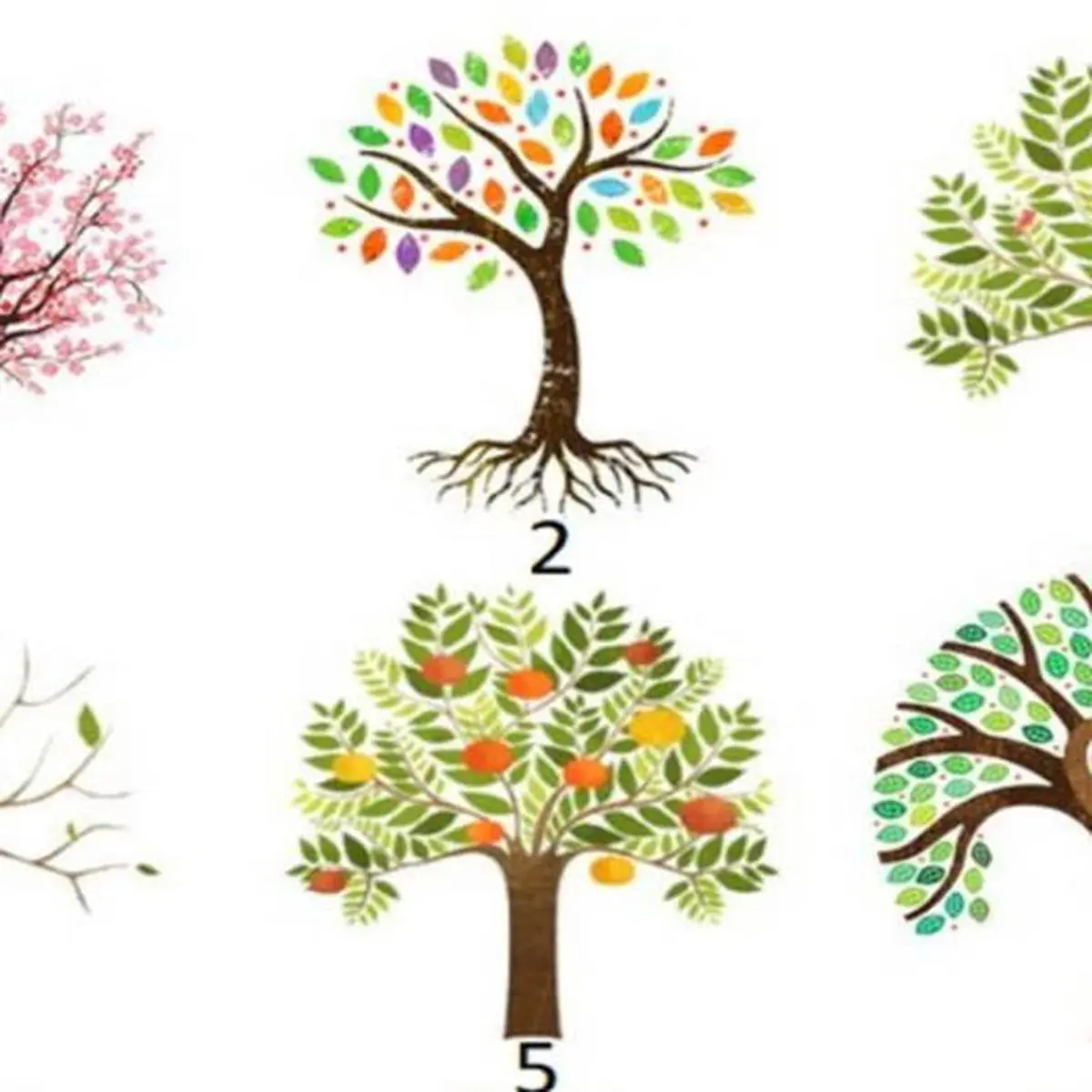 Examen Psicológico del Árbol: Analizando lo Profundo de la Mente - Qué explora el test del árbol examen psicologico del arbol - Qué explora el test del árbol