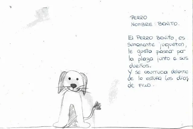 Cómo hacer una historia para un test psicológico - Qué historia hacer en una entrevista de trabajo como hacer una historia para un test psicologico - Qué historia hacer en una entrevista de trabajo