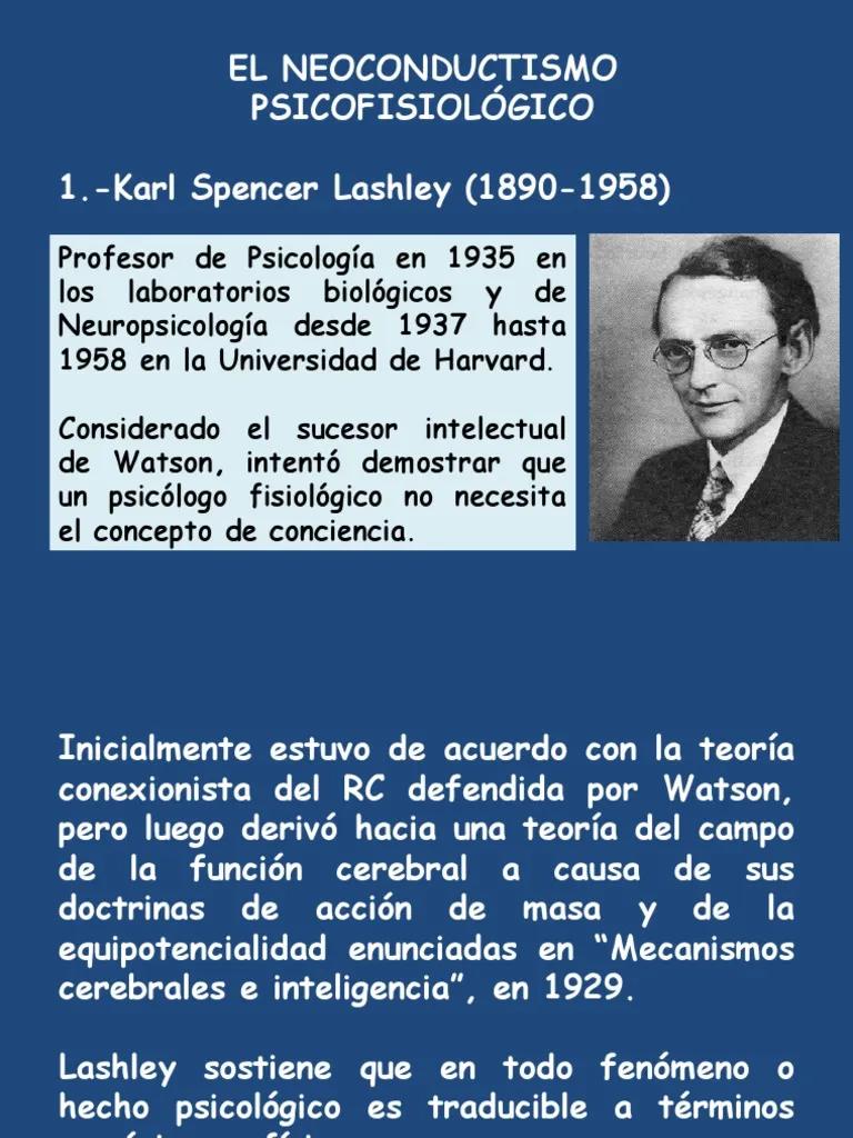 equipotencialidad psicologia - Qué hizo Karl Lashley