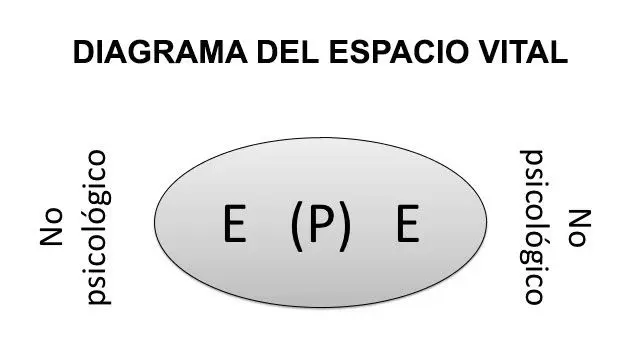Psicología Topológica: Una visión del espacio de vida según Kurt Lewin - Qué hizo Kurt Lewin psicologia topologica - Qué hizo Kurt Lewin