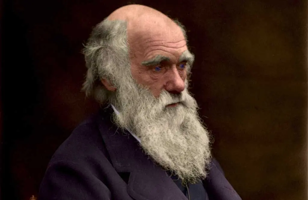 charles darwin psicologia - Qué nos dice Charles Darwin sobre las emociones