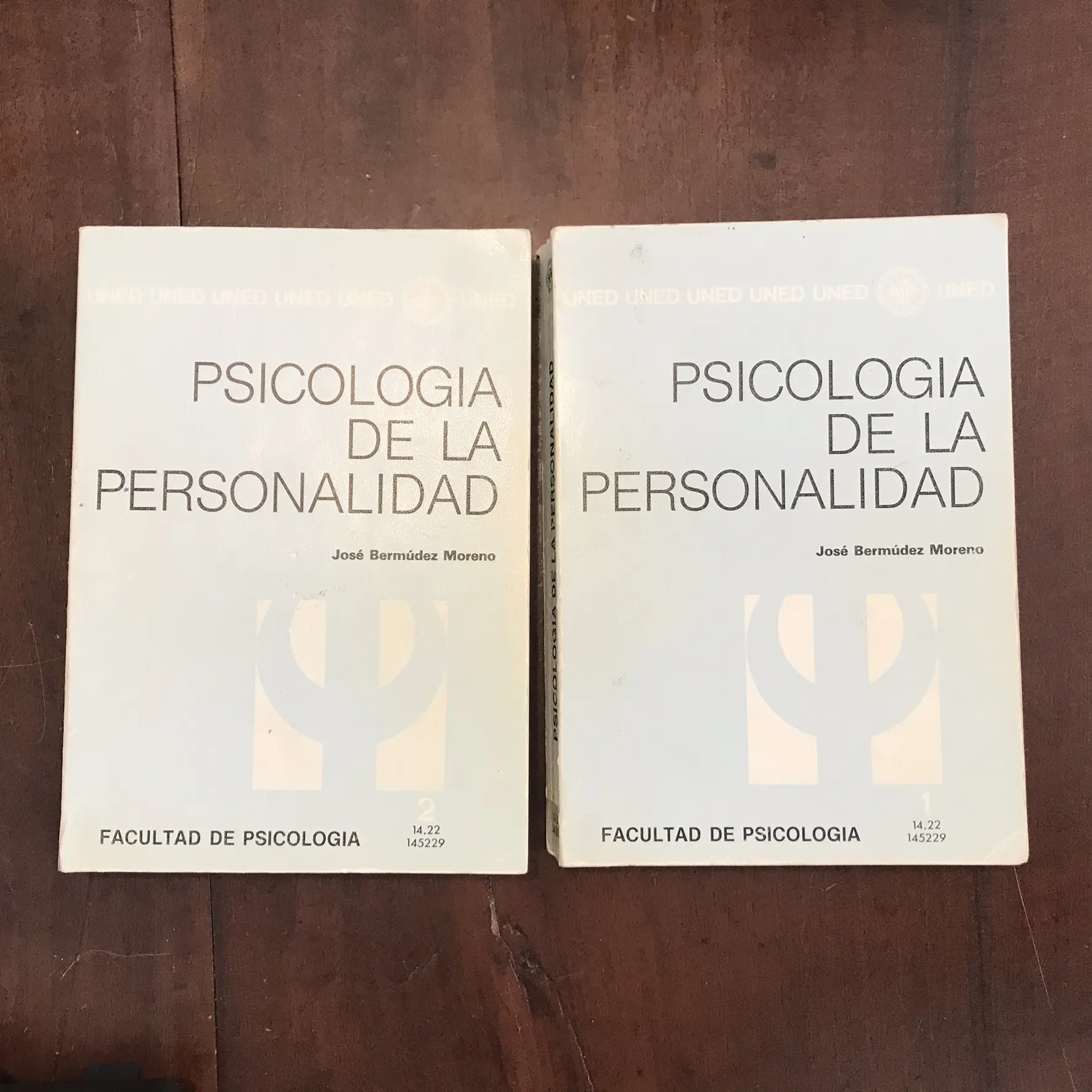 psicologia de la personalidad bermudez - Qué nos dice la teoría de la personalidad