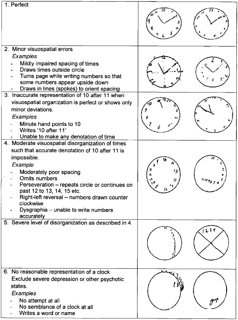 prueba del reloj en psicologia - Que se evalúa con el test del reloj