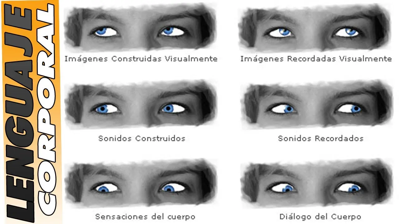 movimientos oculares psicologia - Qué significa el movimiento ocular en psicología